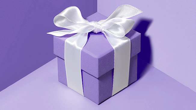The Jewel Princess Experience -
