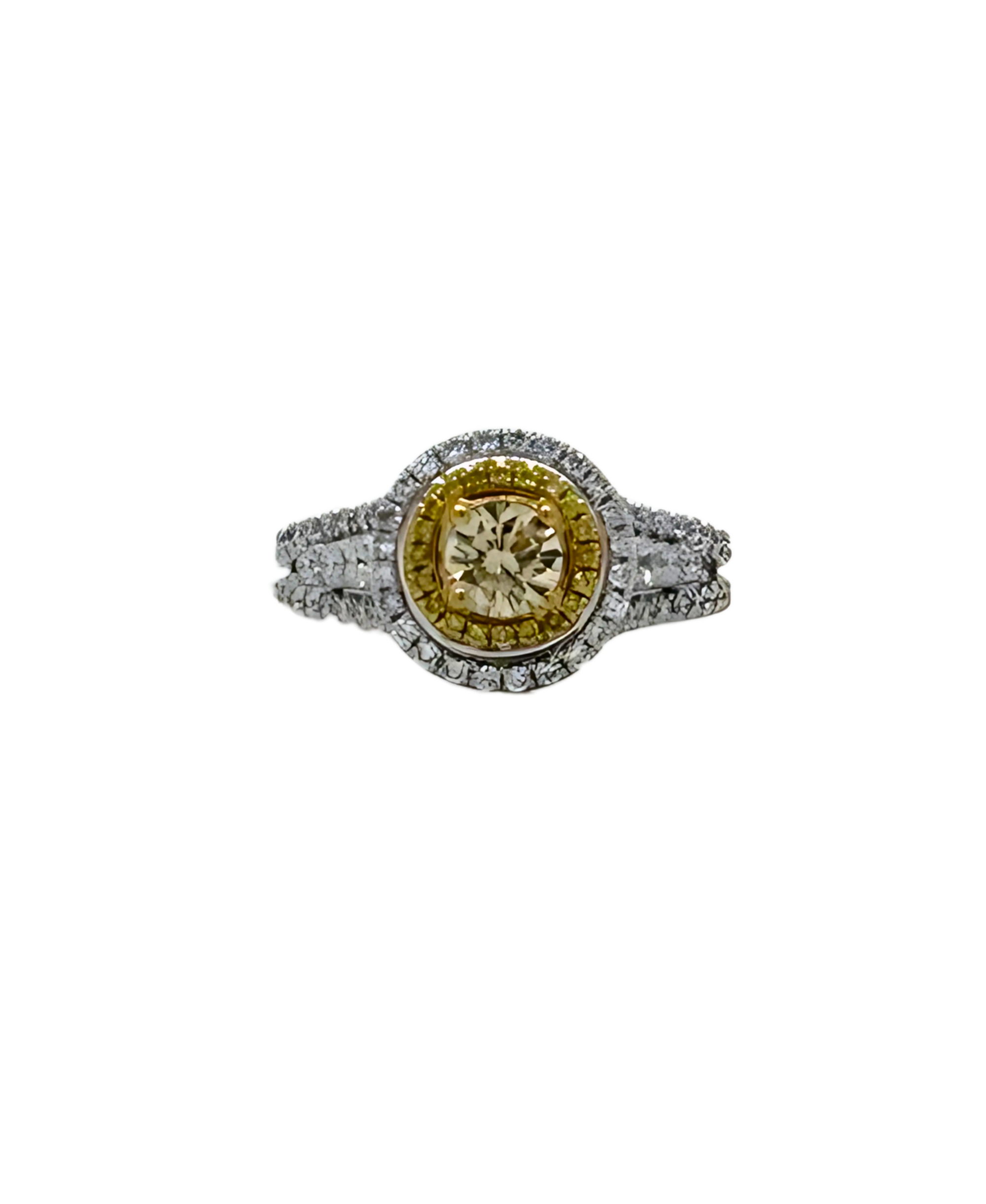 Round Yellow diamond Double Halo Ring