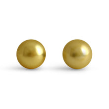 Golden Pearl Stud Earrings - Earrings